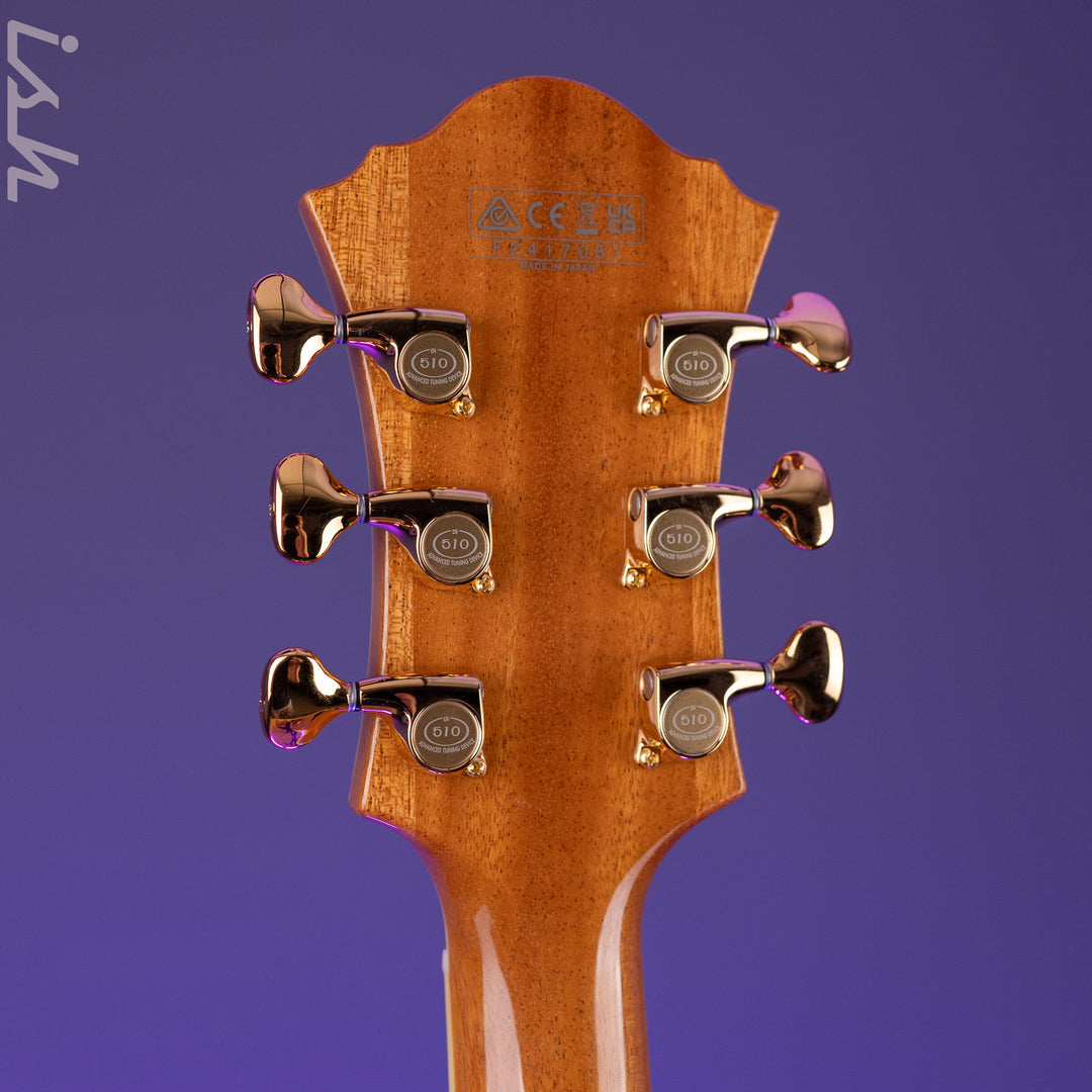 Ibanez PM200 Pat Metheny Signature Hollowbody Natural Demo