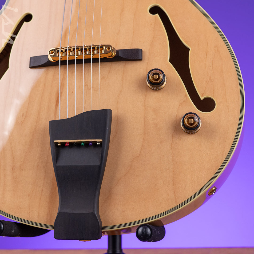 Ibanez PM200 Pat Metheny Signature Hollowbody Natural Demo