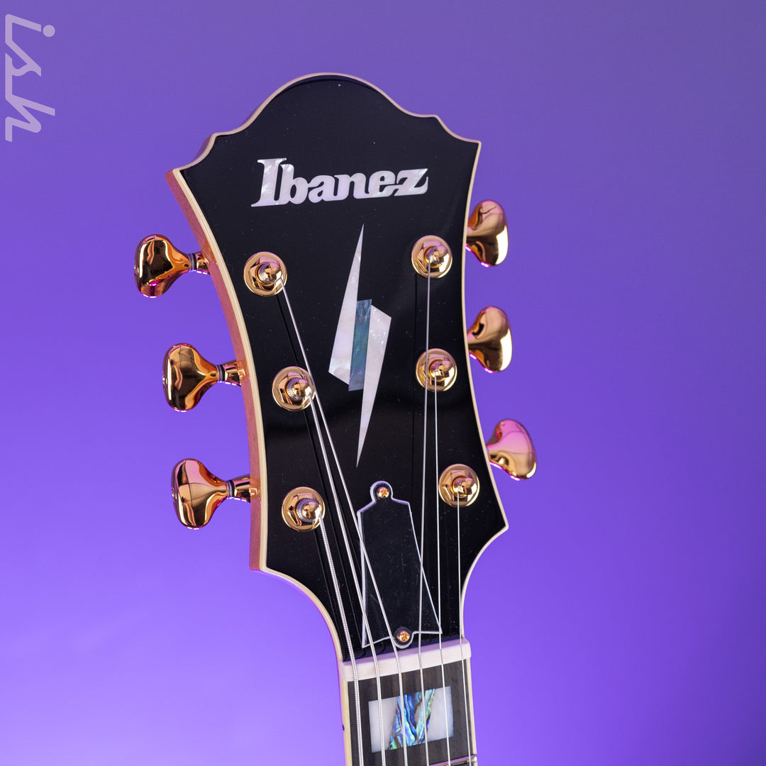 Ibanez PM200 Pat Metheny Signature Hollowbody Natural Demo