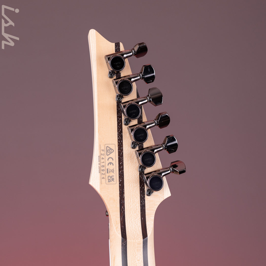 Ibanez Prestige RG5120M Electric Guitar Frozen Ocean Demo
