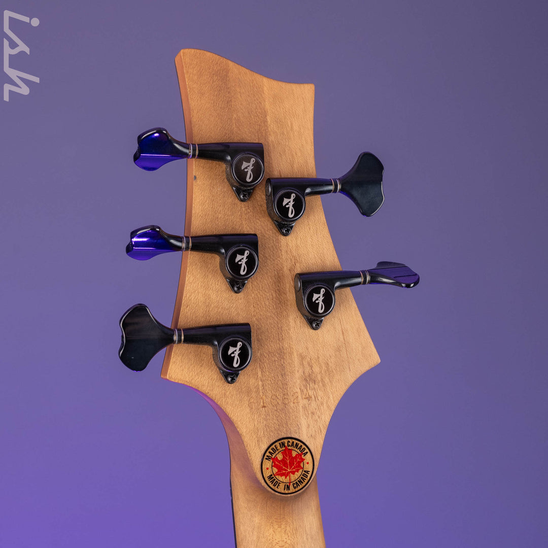 F Bass AC5-Classic Fretless Amara Ebony Top