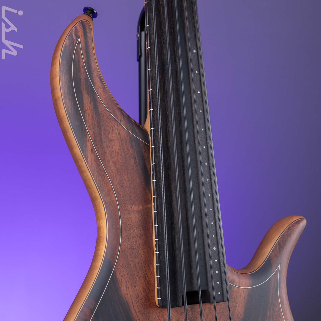 F Bass AC5-Classic Fretless Amara Ebony Top