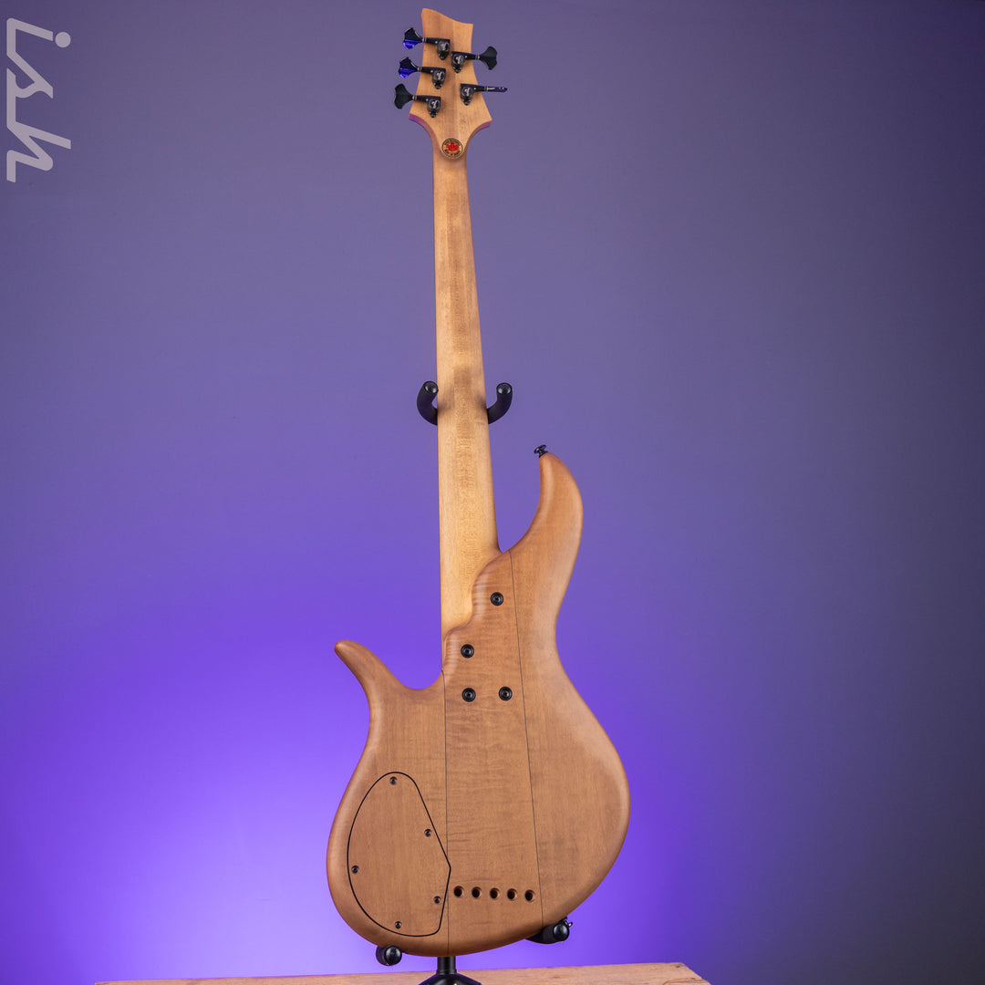 F Bass AC5-Classic Fretless Amara Ebony Top