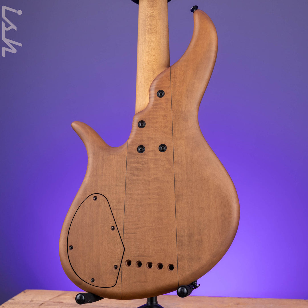 F Bass AC5-Classic Fretless Amara Ebony Top