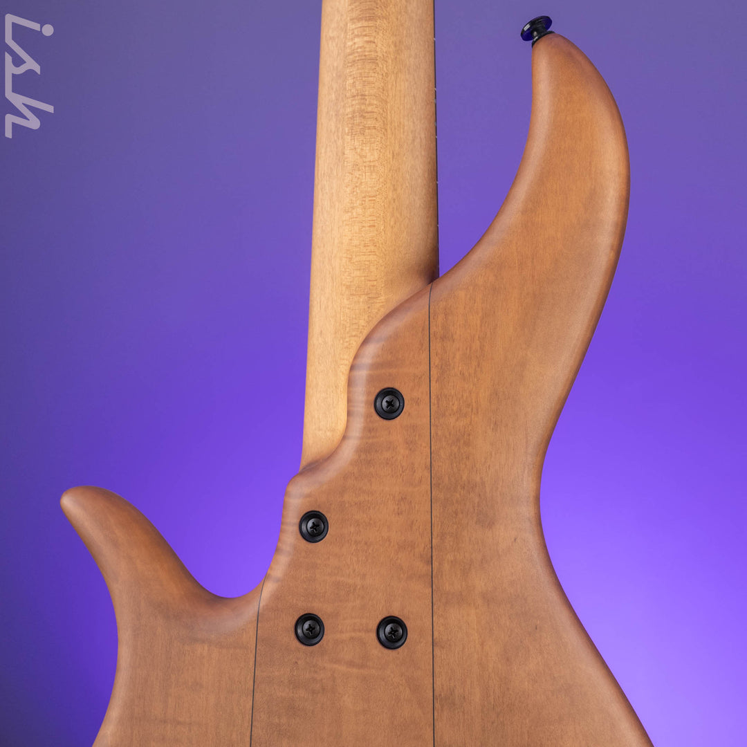 F Bass AC5-Classic Fretless Amara Ebony Top