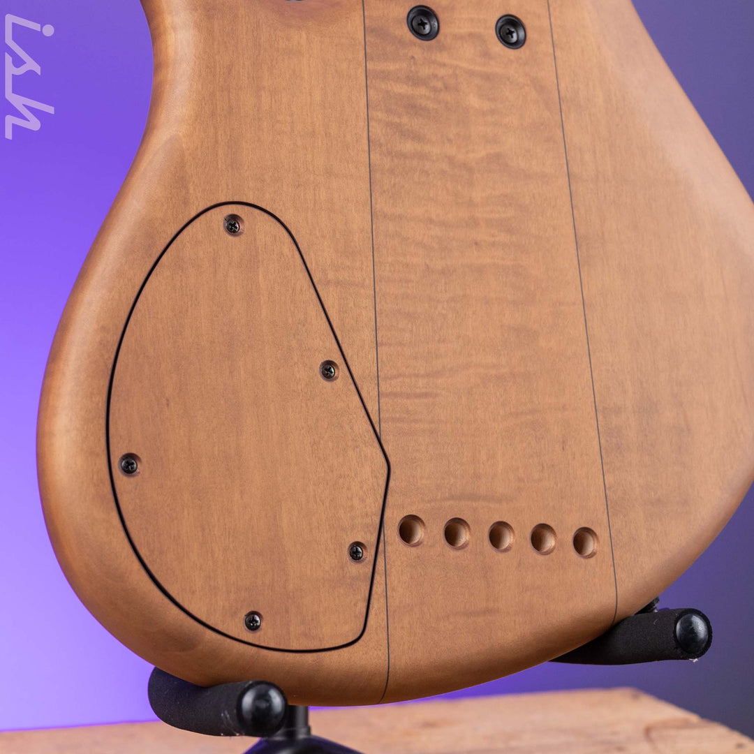 F Bass AC5-Classic Fretless Amara Ebony Top
