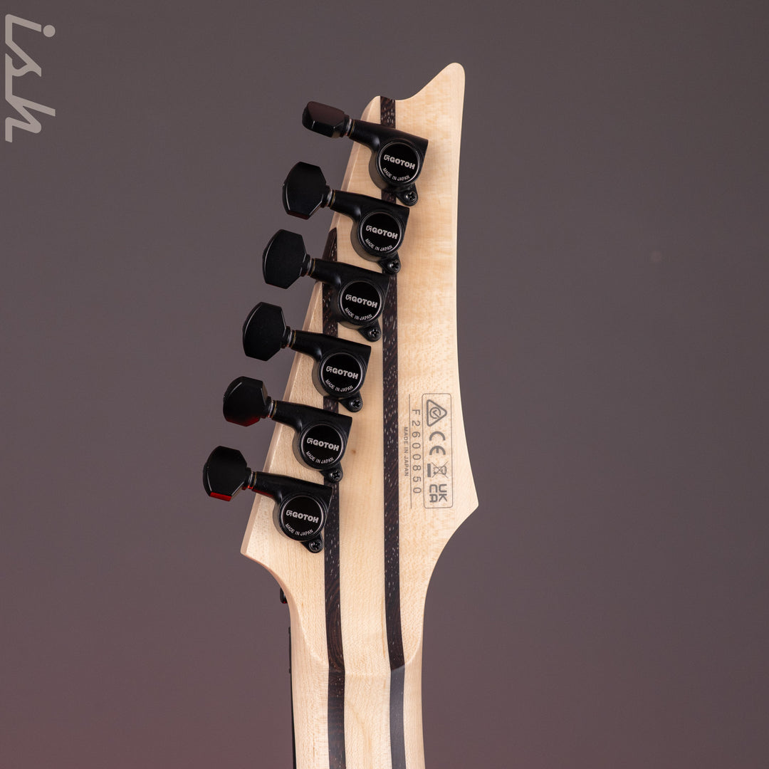 Ibanez Prestige RGR5130 Gray Metallic