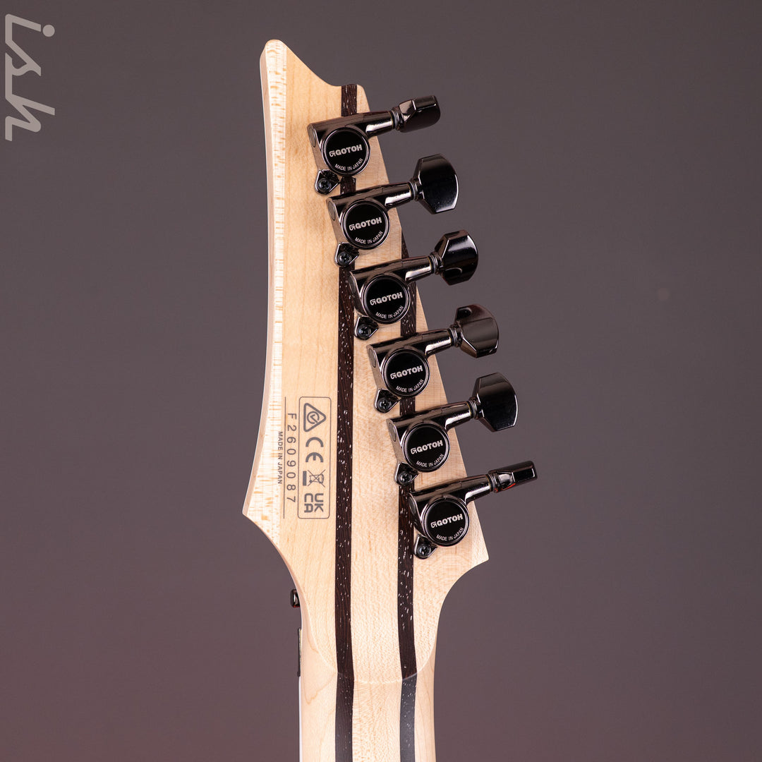 Ibanez Prestige RG5320R Cosmic Shadow
