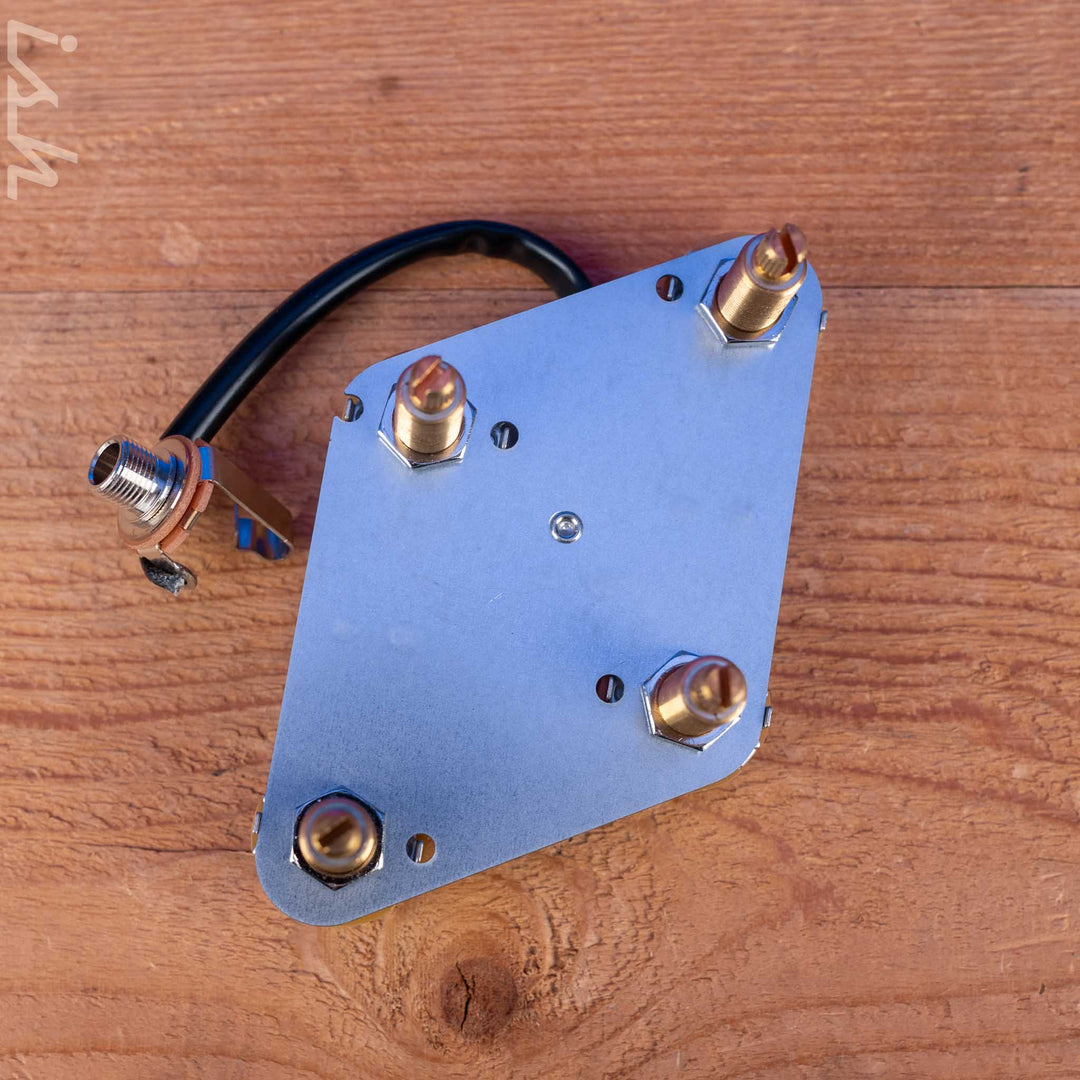 Gibson Les Paul Prewired Harness