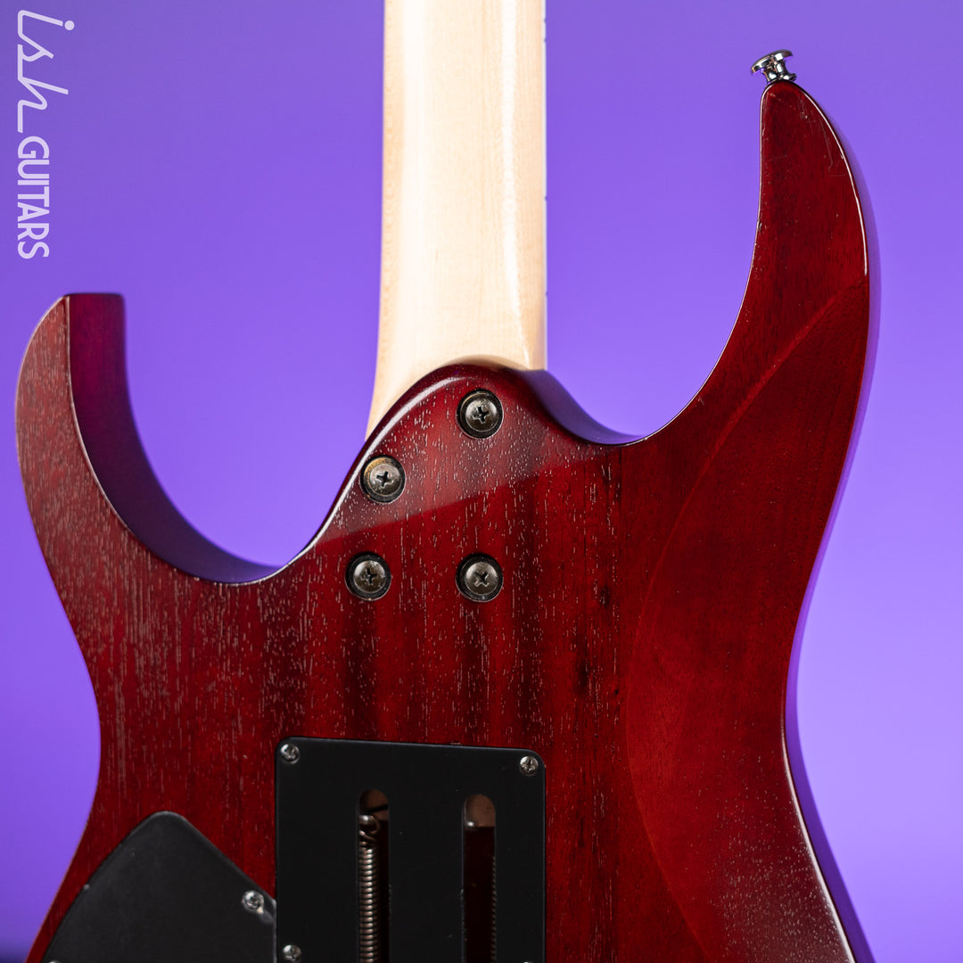 2009 Ibanez RG420FB Flat Brown