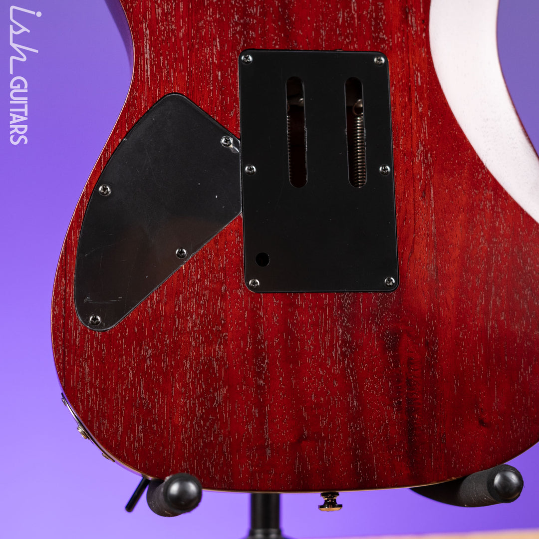 2009 Ibanez RG420FB Flat Brown