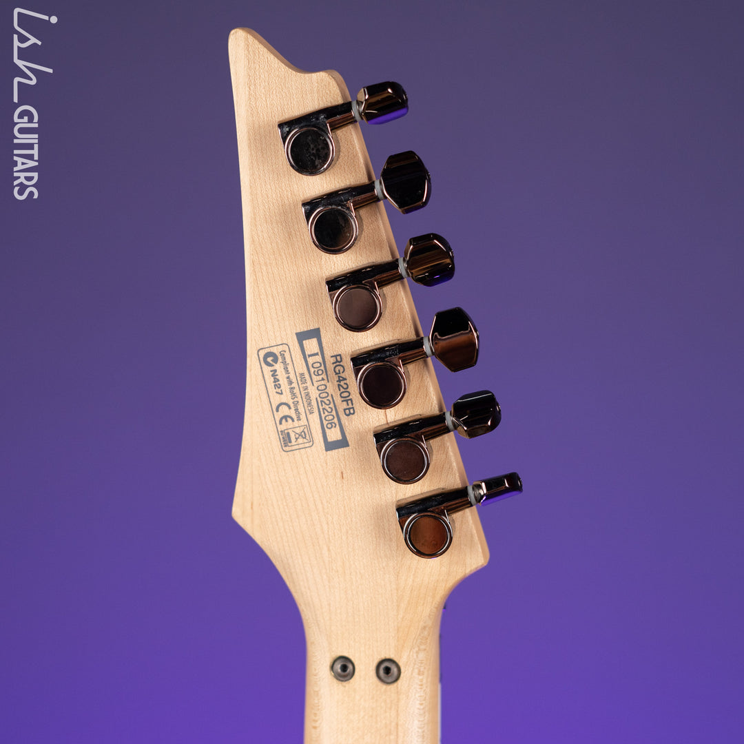 2009 Ibanez RG420FB Flat Brown