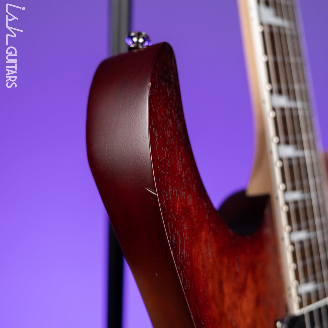 2009 Ibanez RG420FB Flat Brown