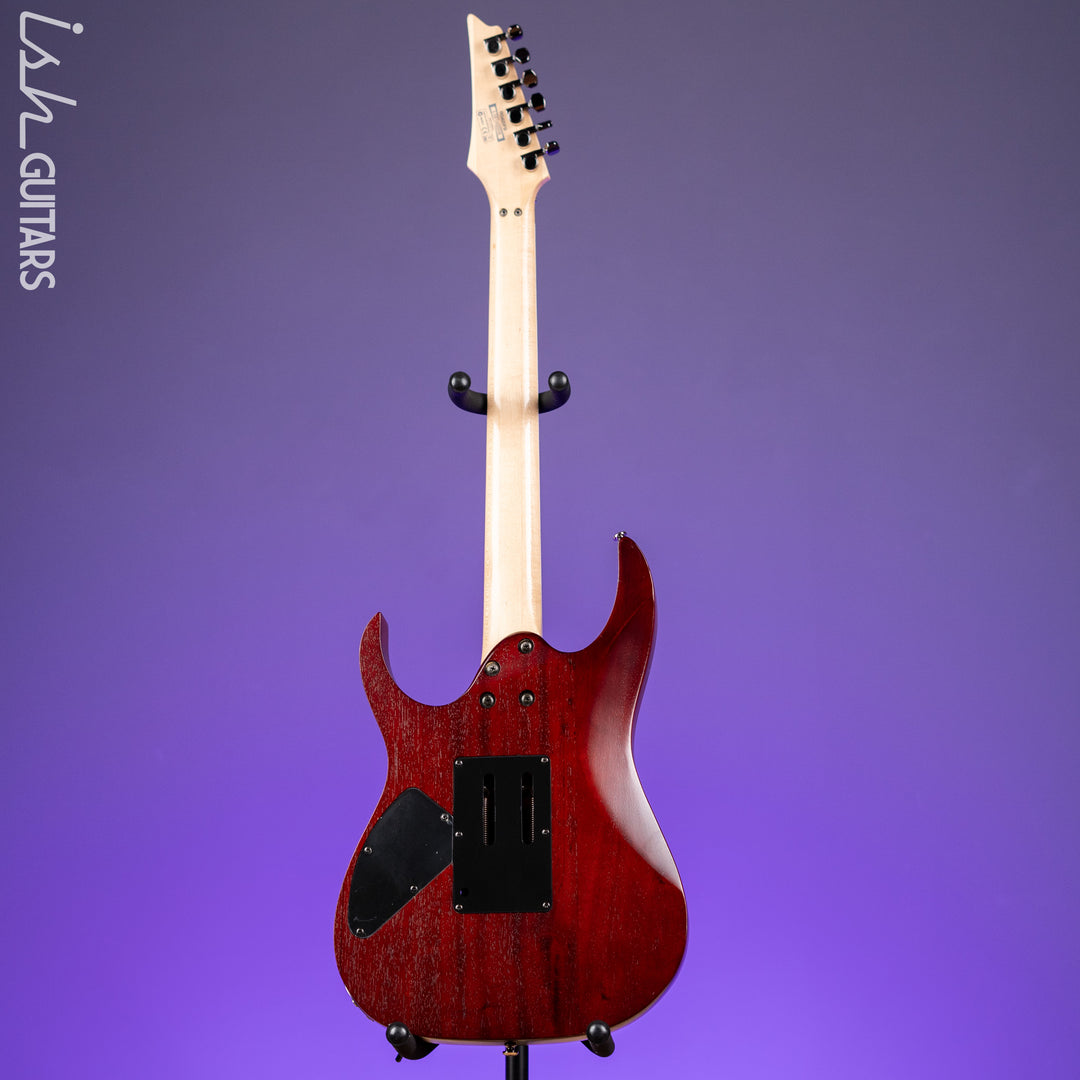 2009 Ibanez RG420FB Flat Brown