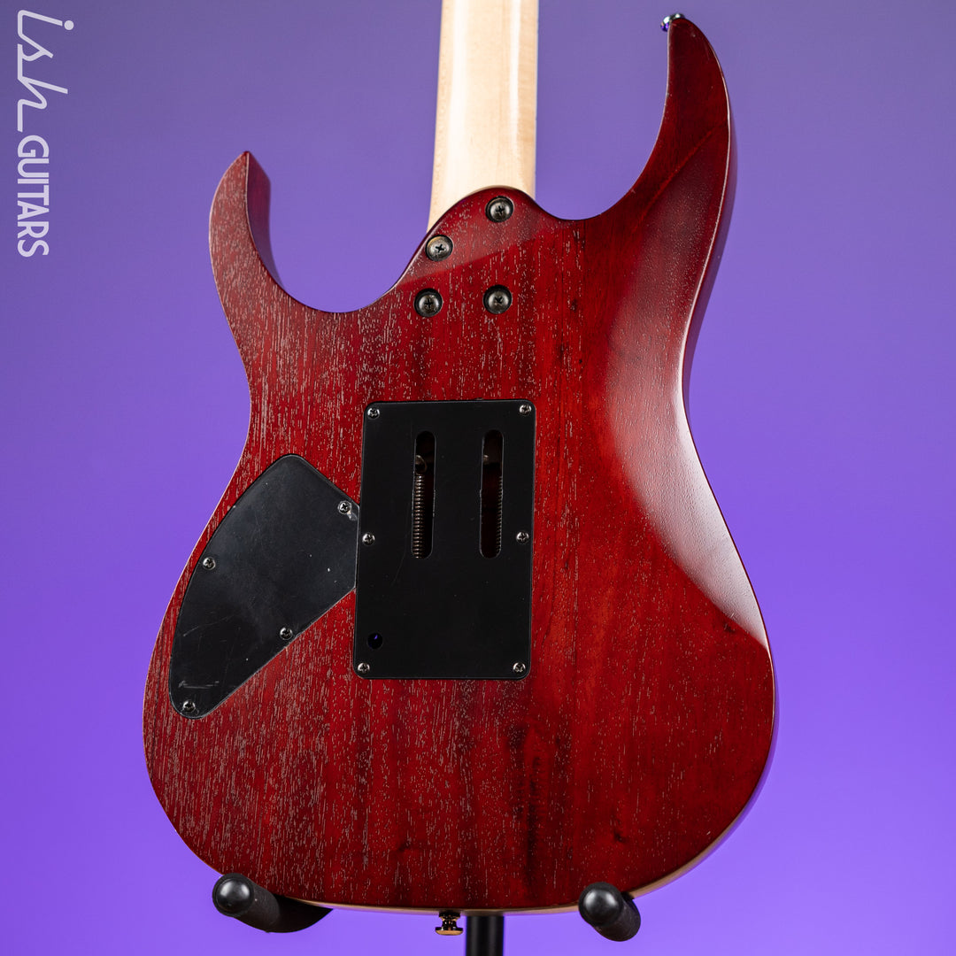 2009 Ibanez RG420FB Flat Brown