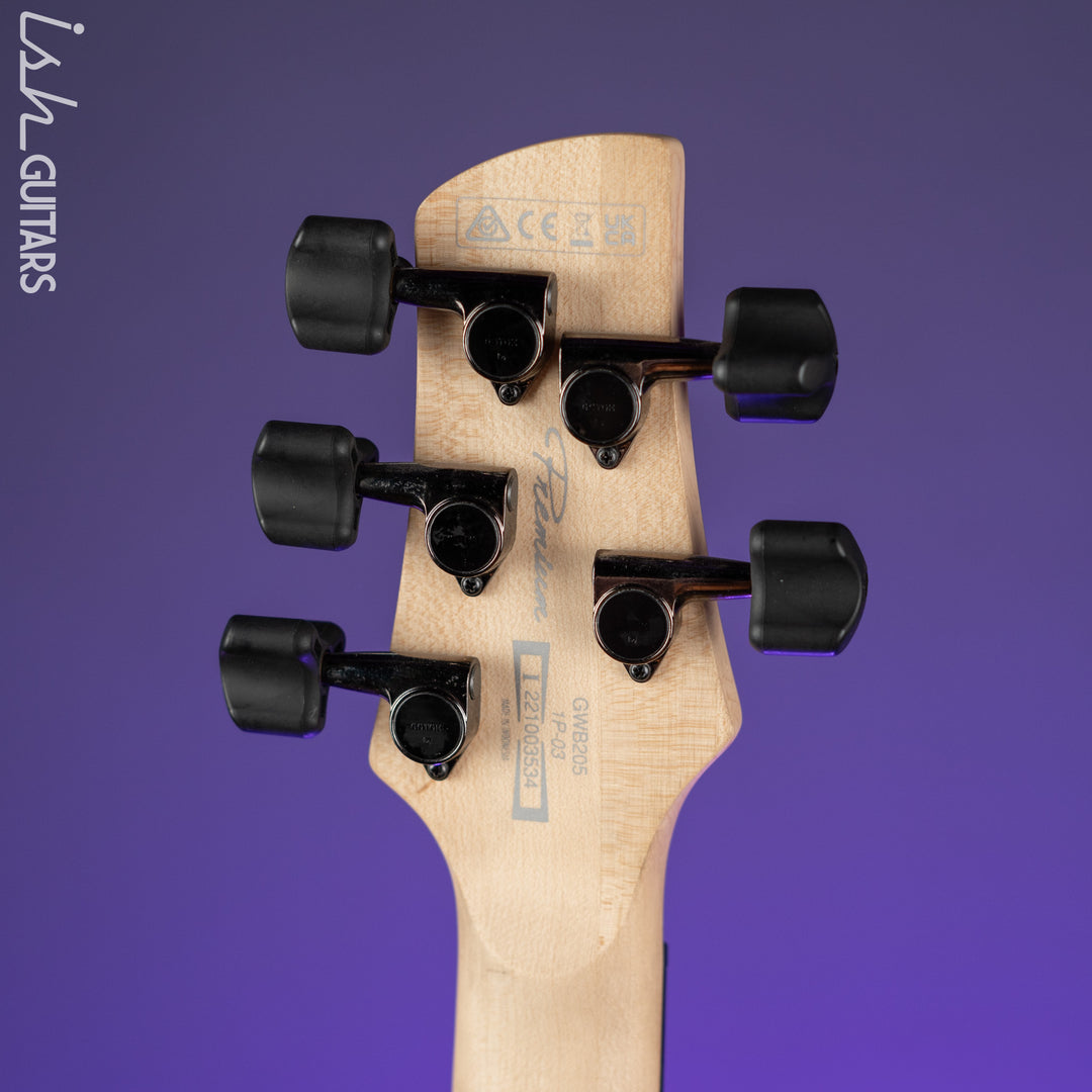 Ibanez GWB205 Gary Willis Signature 5-String Fretless Bass Tequila Sunrise Flat