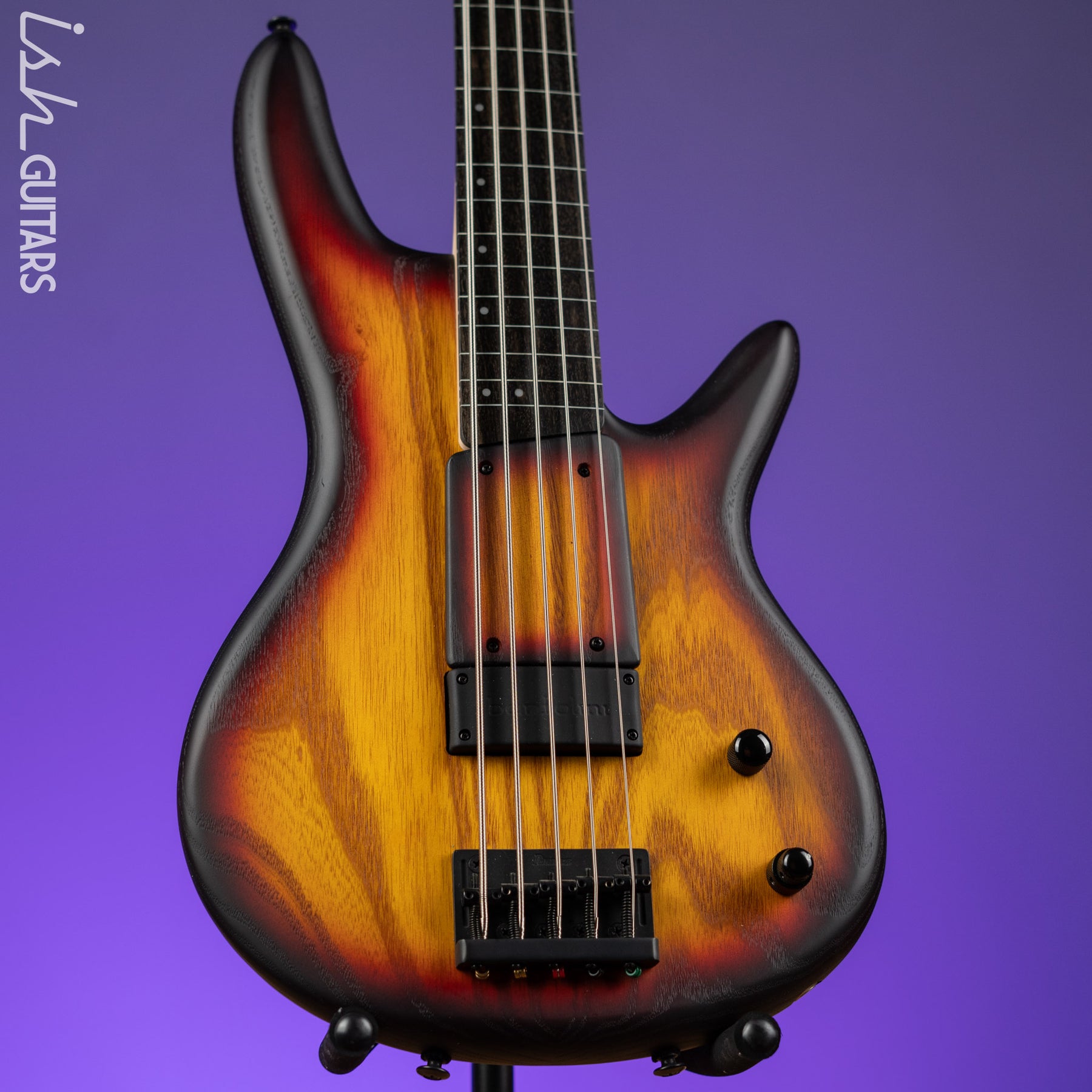 Ibanez GWB205 Gary Willis Signature 5-String Fretless Bass Tequila 