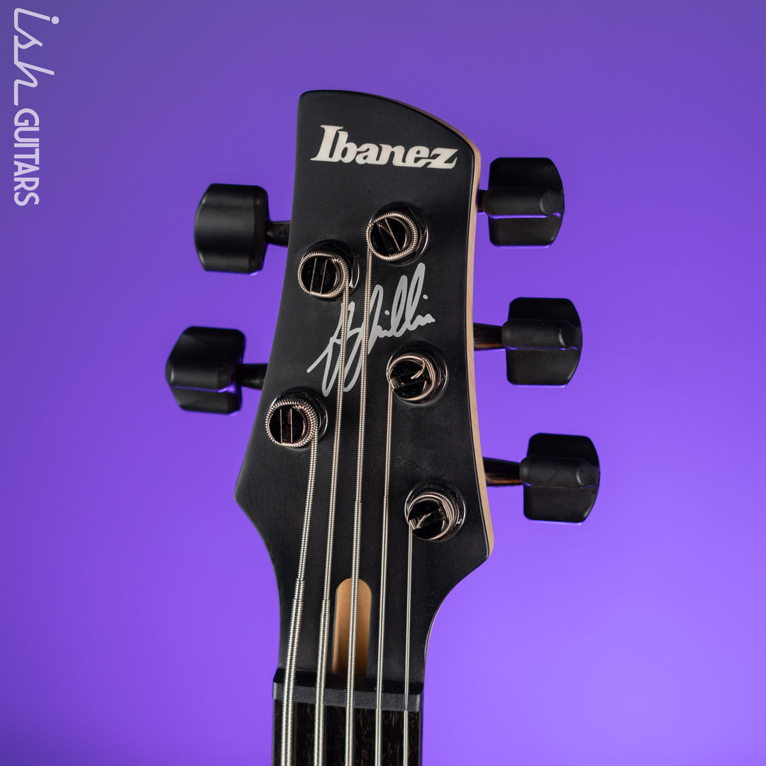 Ibanez GWB205 Gary Willis Signature 5-String Fretless Bass Tequila Sunrise Flat