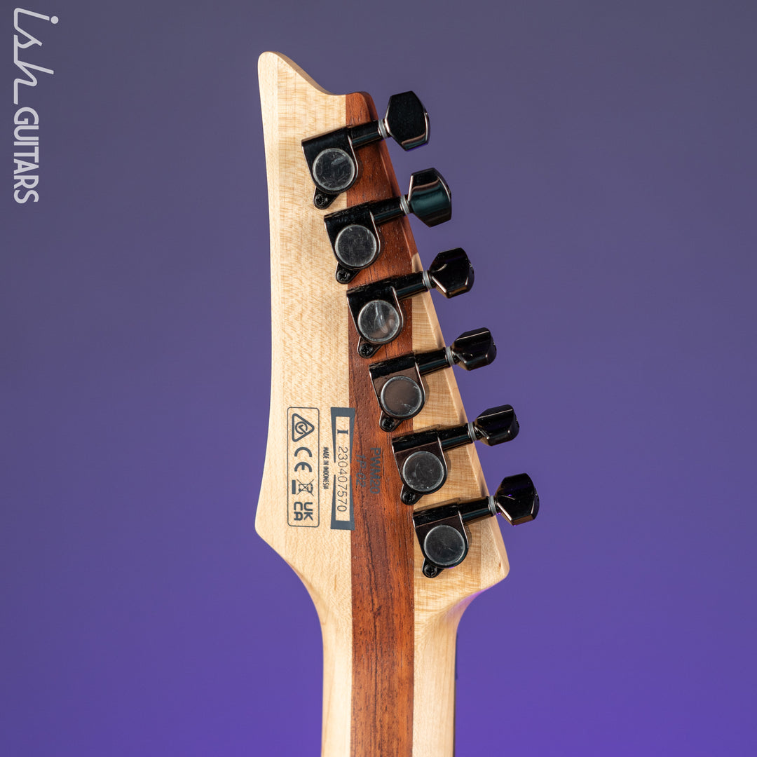 Ibanez PWM20 Paul Waggoner Signature Electric Guitar Demo