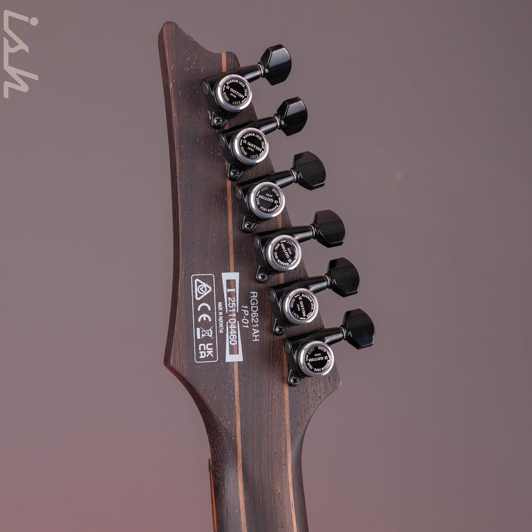Ibanez RGD621AH Midnight Shade Flat Electric Guitar