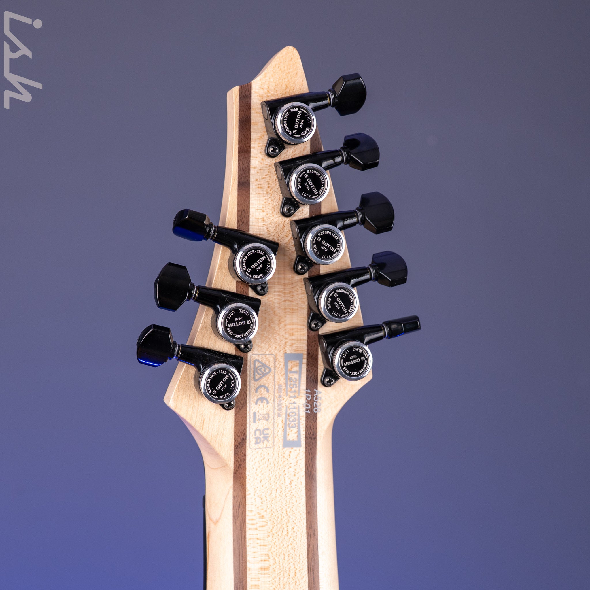 Ibanez Super l Mini【超美品】 Ibanez Alpha A528 8-String Multiscale Guitar Coral Mirage – Ish