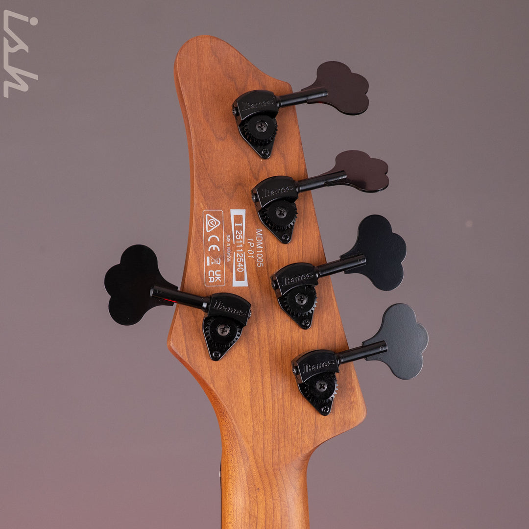 Ibanez MDM1005 5-String Bass Midnight Arctic Ocean Matte Demo