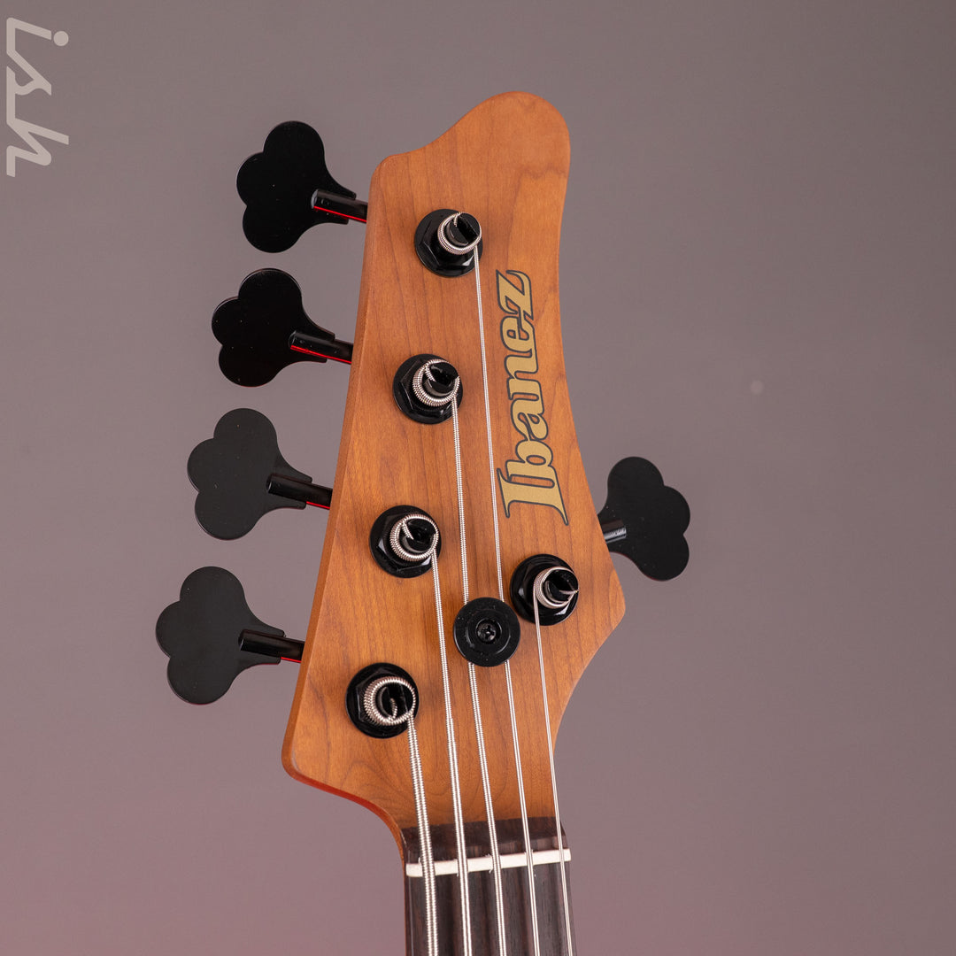 Ibanez MDM1005 5-String Bass Midnight Arctic Ocean Matte Demo