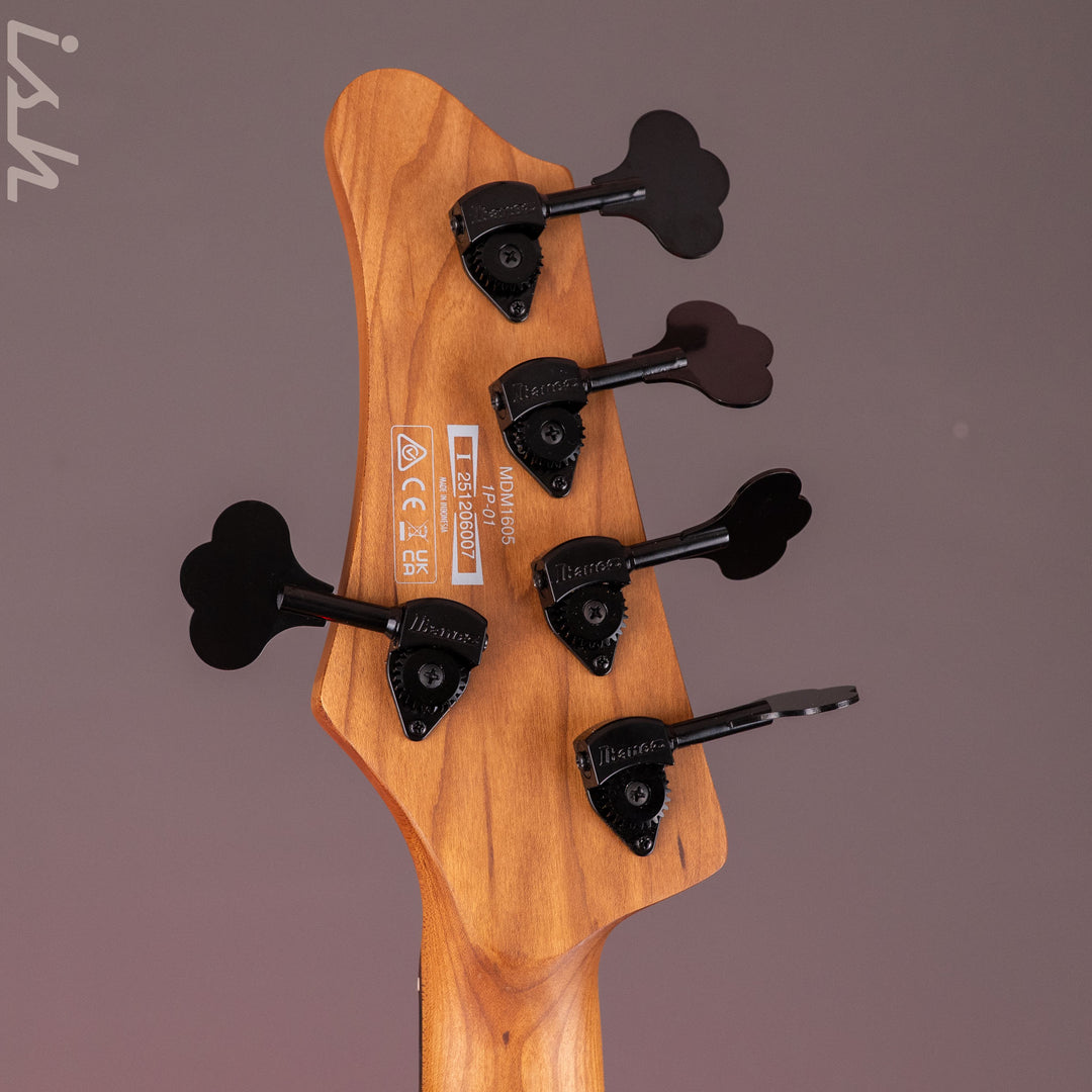 Ibanez Mode MDM1605 5-String Bass Natural Mocha Low Gloss
