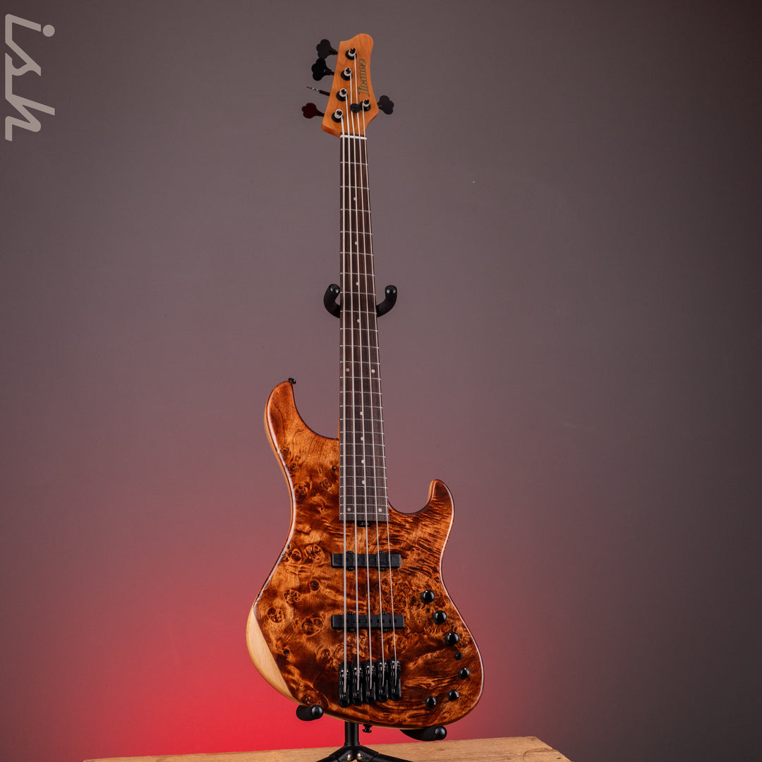 Ibanez Mode MDM1605 5-String Bass Natural Mocha Low Gloss