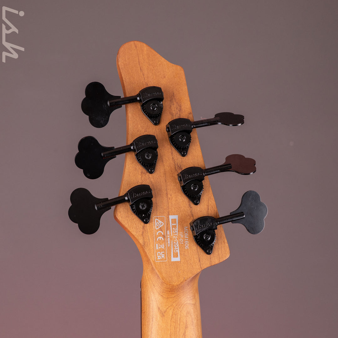Ibanez Mode MDM1606 6-String Bass Natural Mocha Low Gloss
