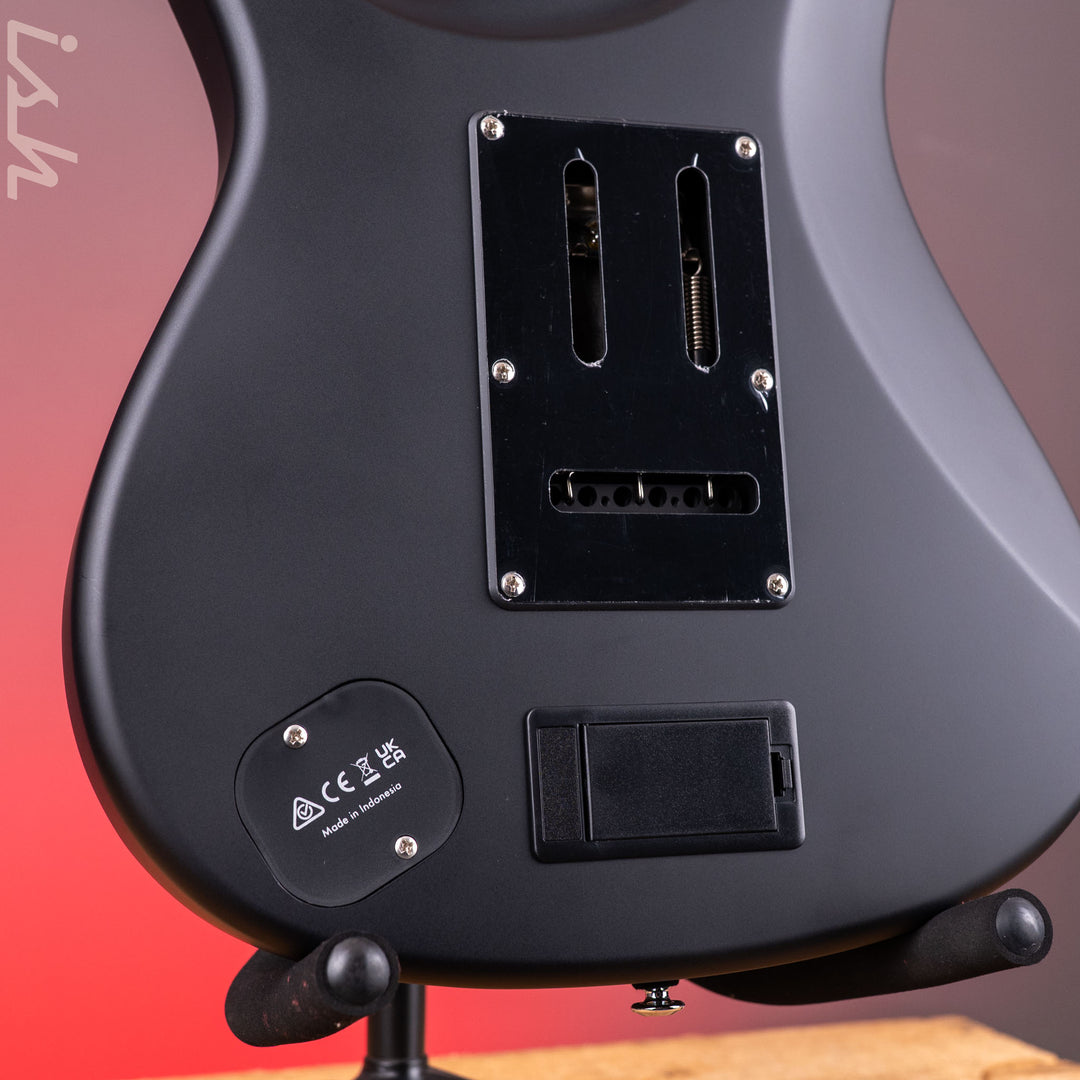 Ibanez BER10 Bernth Signature Electric Guitar