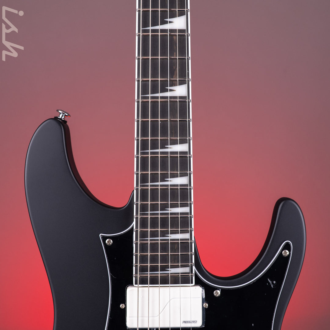 Ibanez BER10 Bernth Signature Electric Guitar