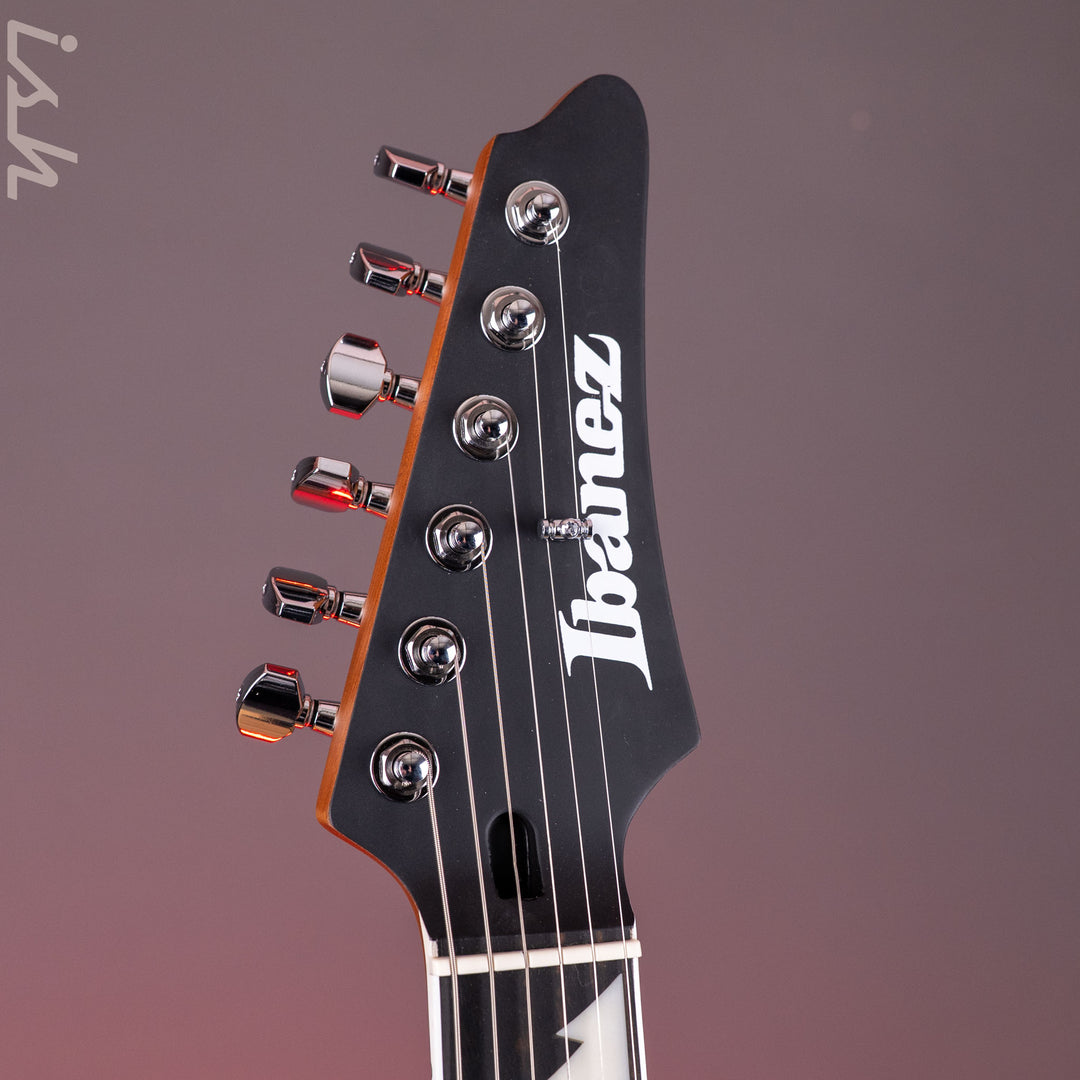 Ibanez BER10 Bernth Signature Electric Guitar