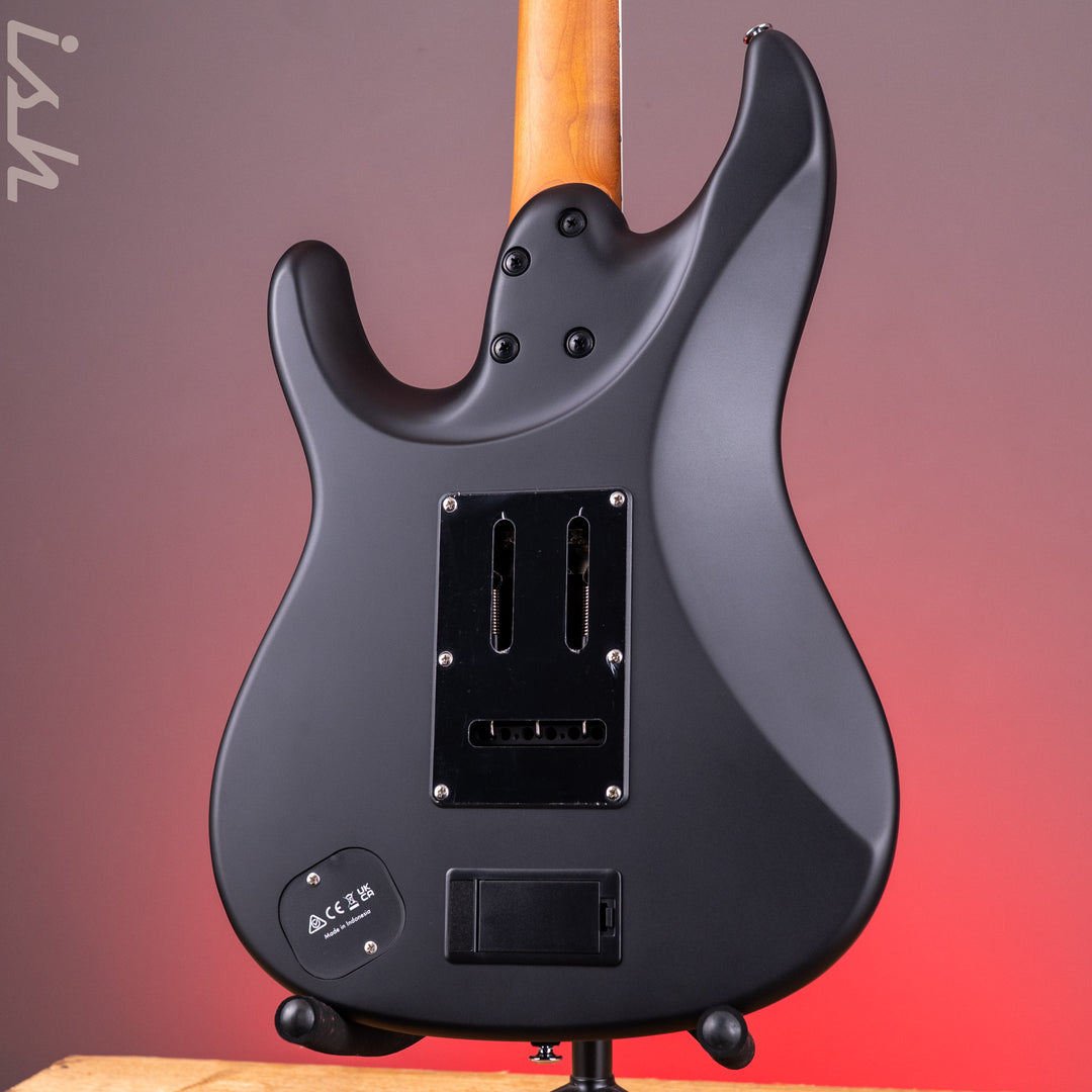 Ibanez BER10 Bernth Signature Electric Guitar