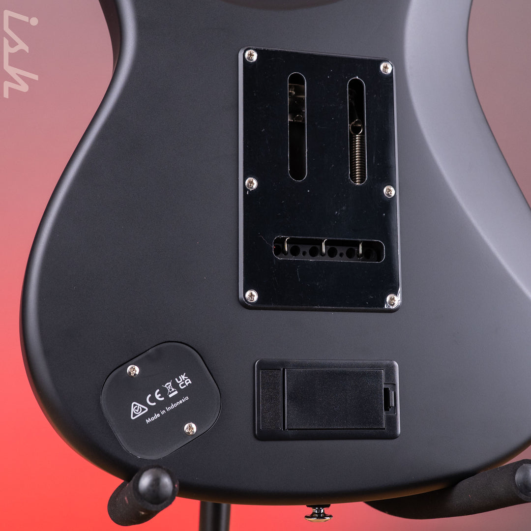 Ibanez BER10 Bernth Signature Electric Guitar