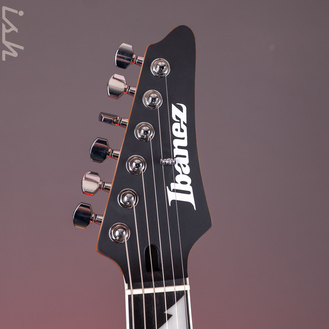 Ibanez BER10 Bernth Signature Electric Guitar