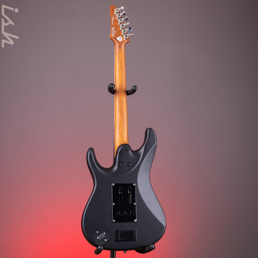 Ibanez BER10 Bernth Signature Electric Guitar