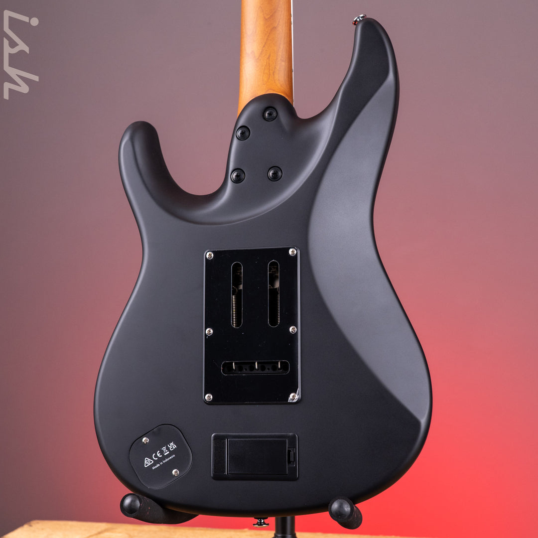 Ibanez BER10 Bernth Signature Electric Guitar