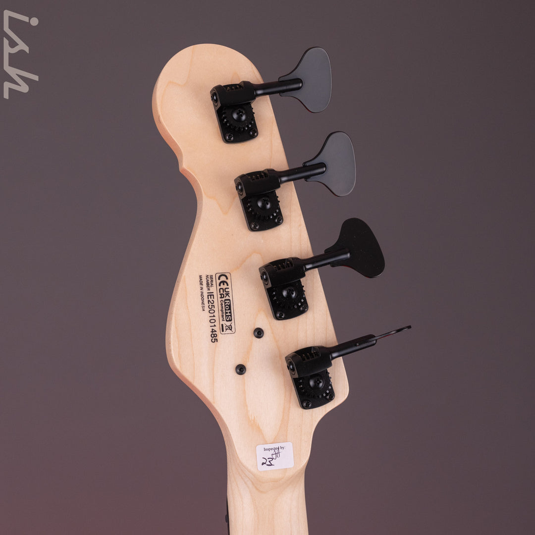Dingwall SP1 4-String Bass Matte Ducati Pearl White