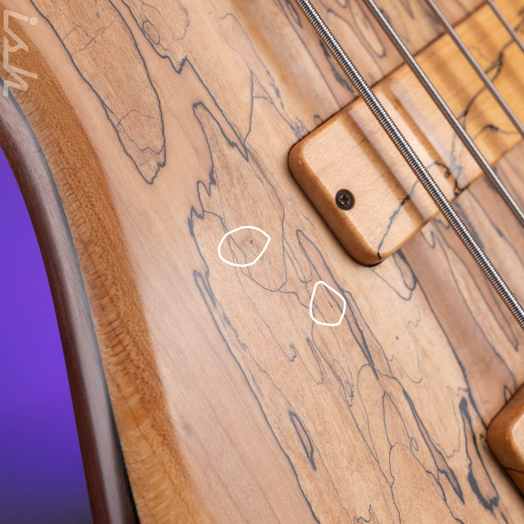 2008 Fodera Monarch Custom 6 String Fretless Bass Spalted Maple