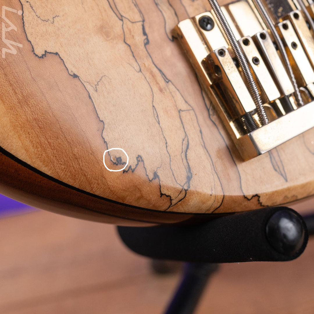 2008 Fodera Monarch Custom 6 String Fretless Bass Spalted Maple