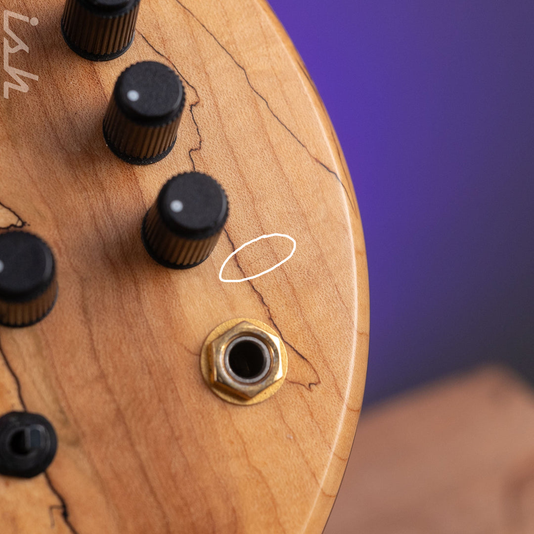 2008 Fodera Monarch Custom 6 String Fretless Bass Spalted Maple