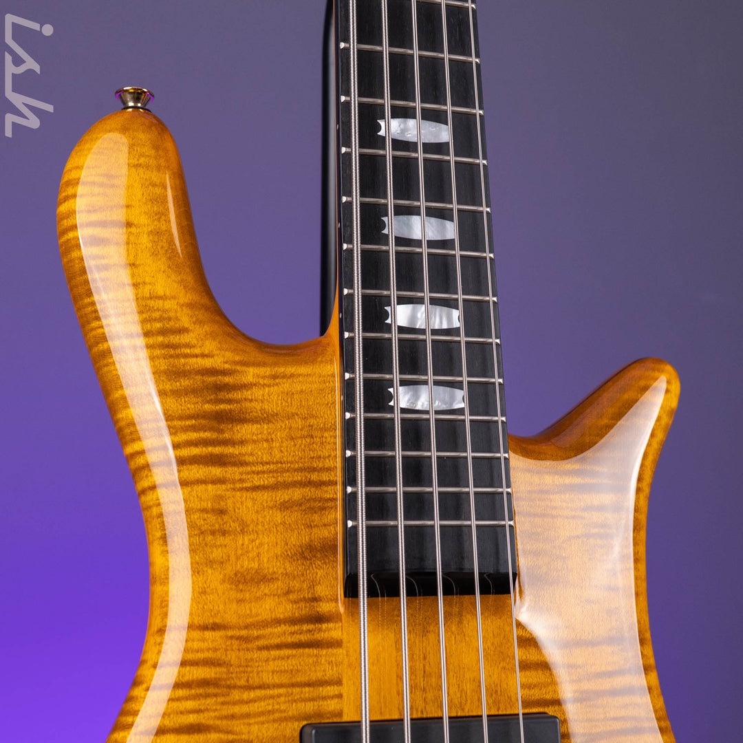2023 Spector Euro 5-String Bass Tiger&
