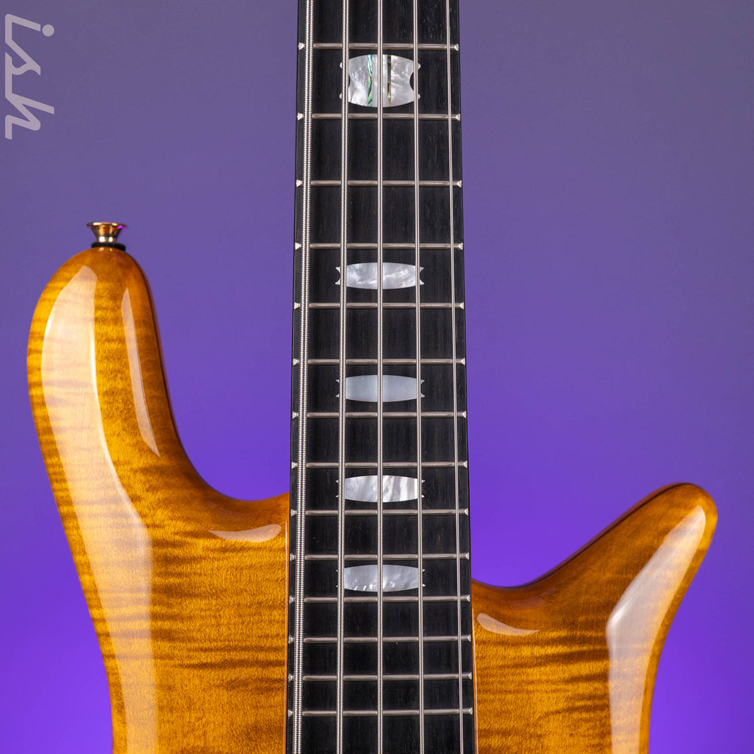 2023 Spector Euro 5-String Bass Tiger&