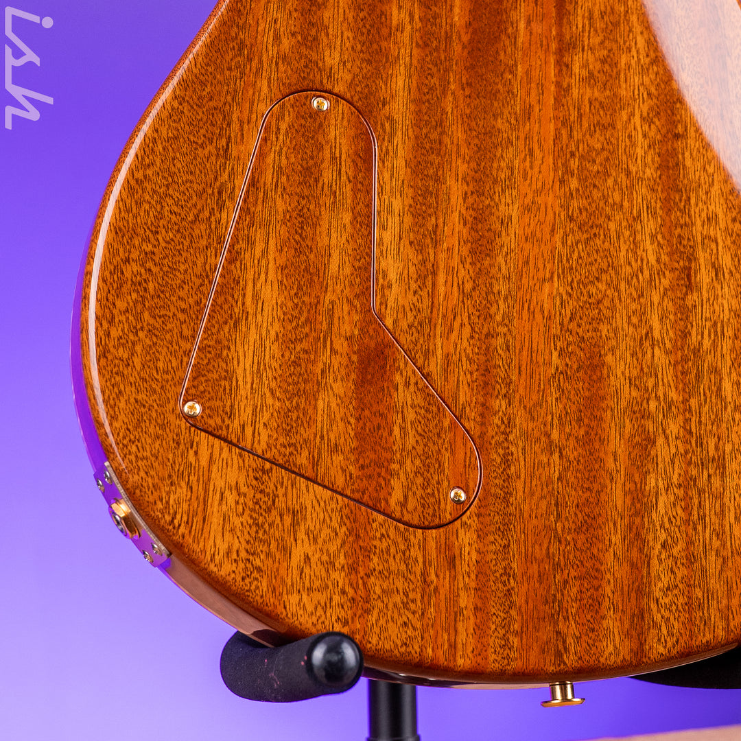 PRS Private Stock Paul’s Guitar Tiger Eye Glow
