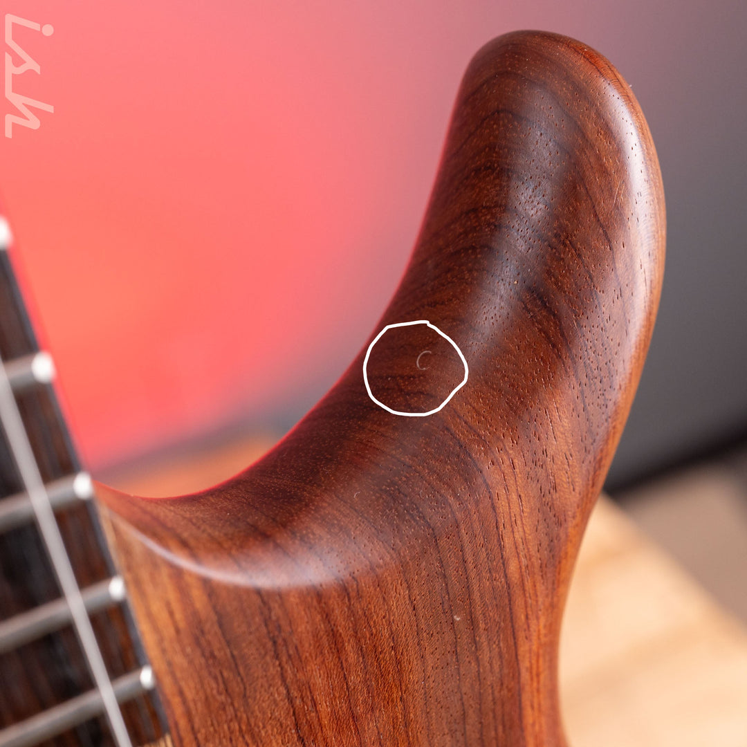2000s Tobias Toby Pro 6-String Bass