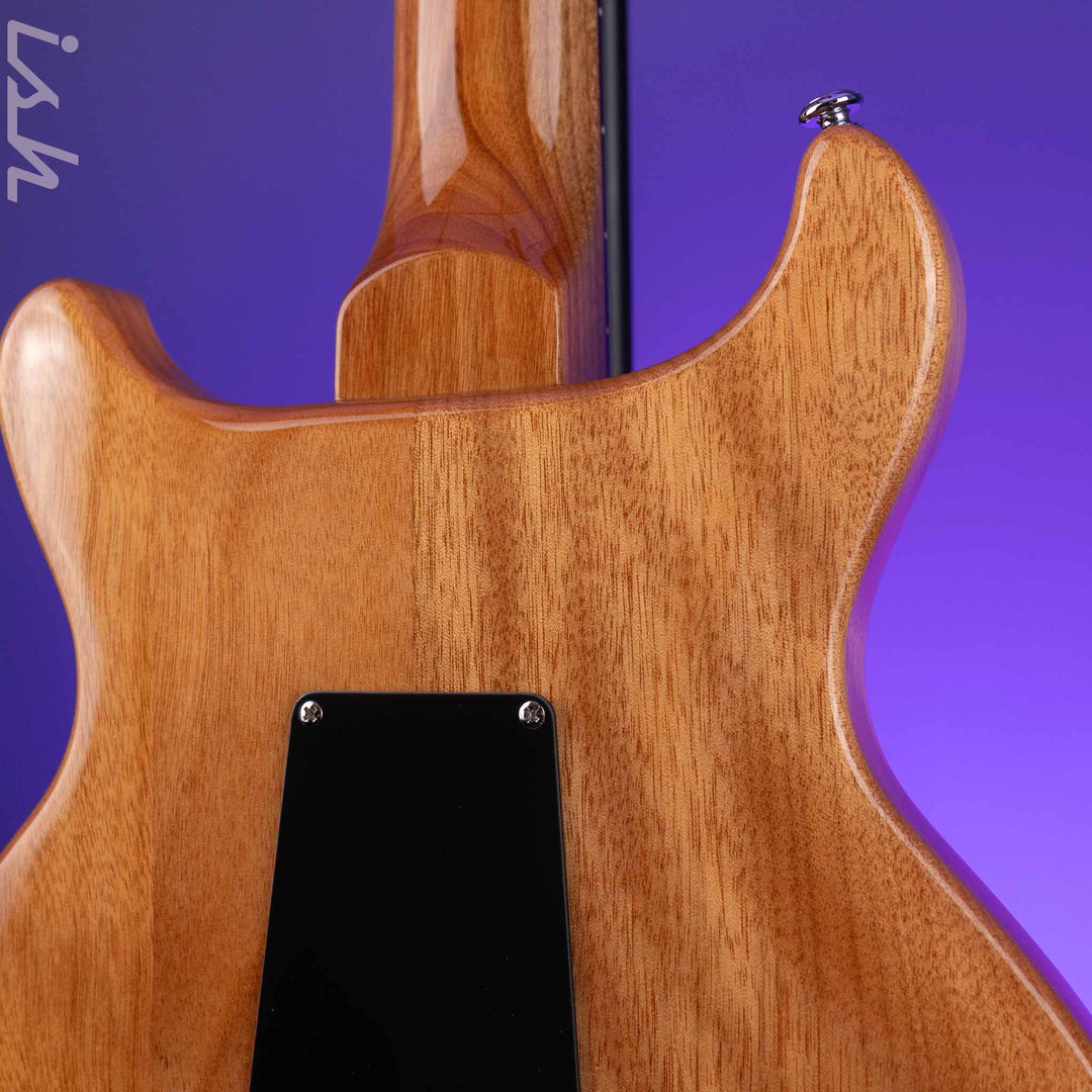 2018 PRS SE Santana Electric Guitar