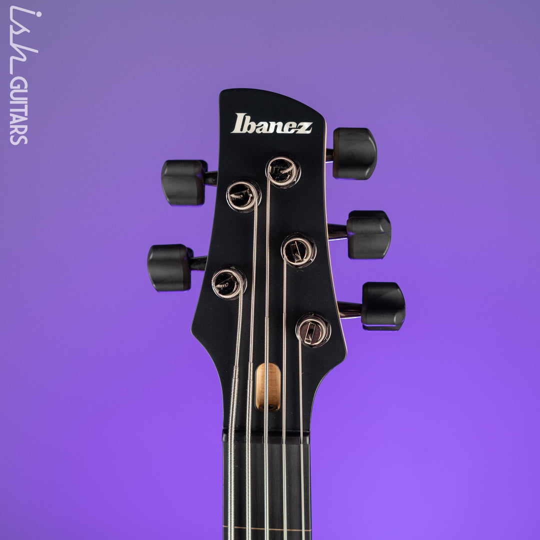 Ibanez GWB1005 Gary Willis Signature 5-String Bass Made in Japan Natural Flat