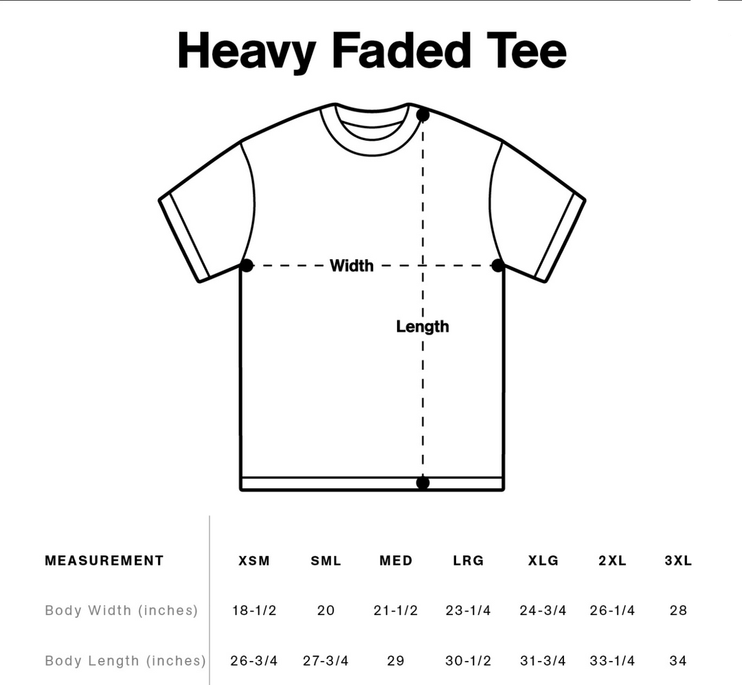 Ish Cactus Heavy Faded Tee - Faded Mushroom