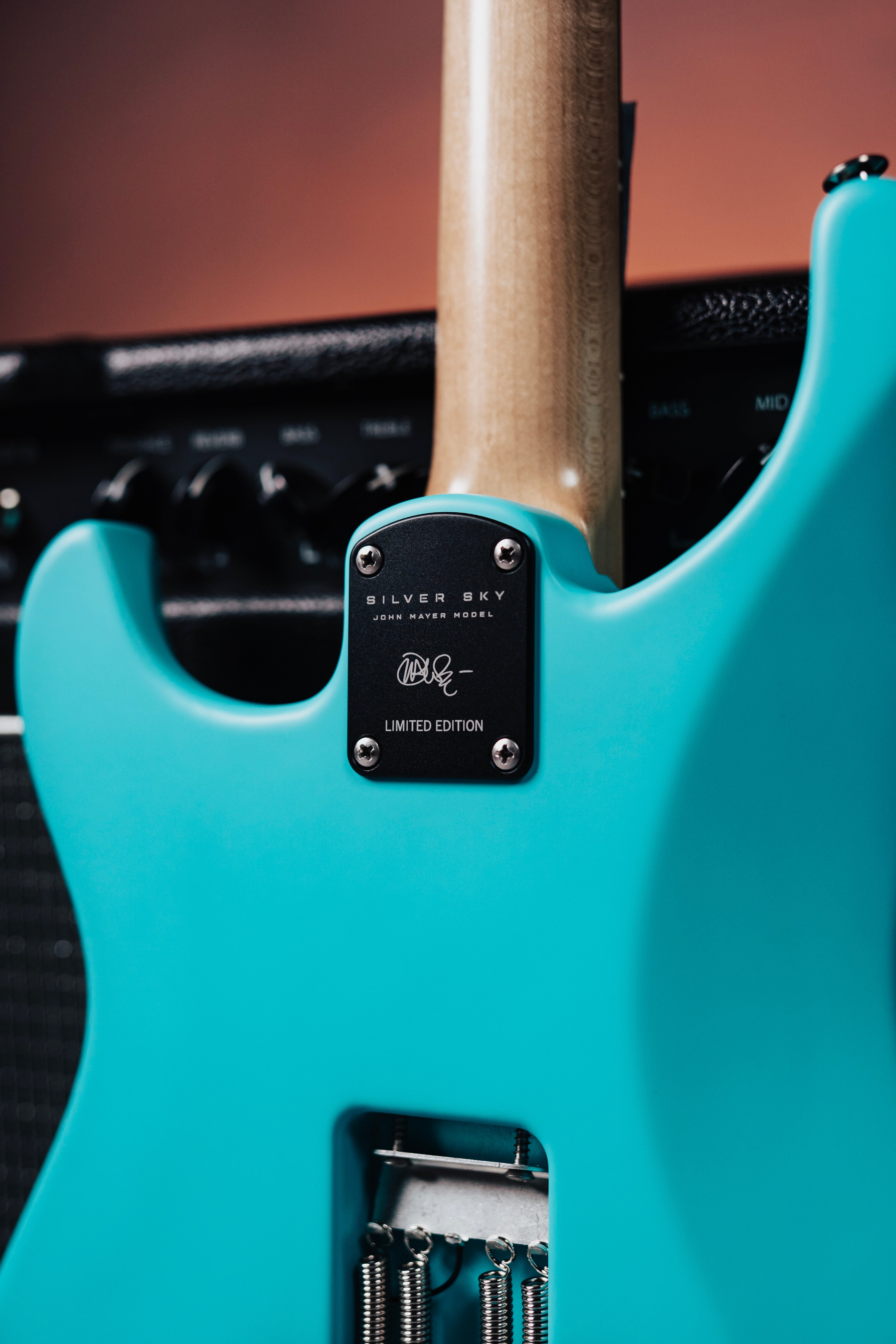 金土日限定特価　美品 PRS USA Silver Sky 金土日限定特価 美品 PRS USA Silver Sky 【公式通販】